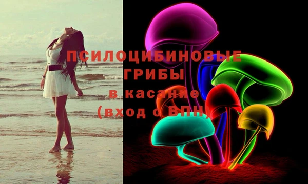 a pvp Аркадак