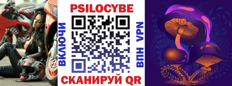 Псилоцибиновые грибы Cubensis Новодвинск